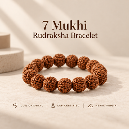 7 Mukhi Rudraksha Bracelet - Original & Lab Certified