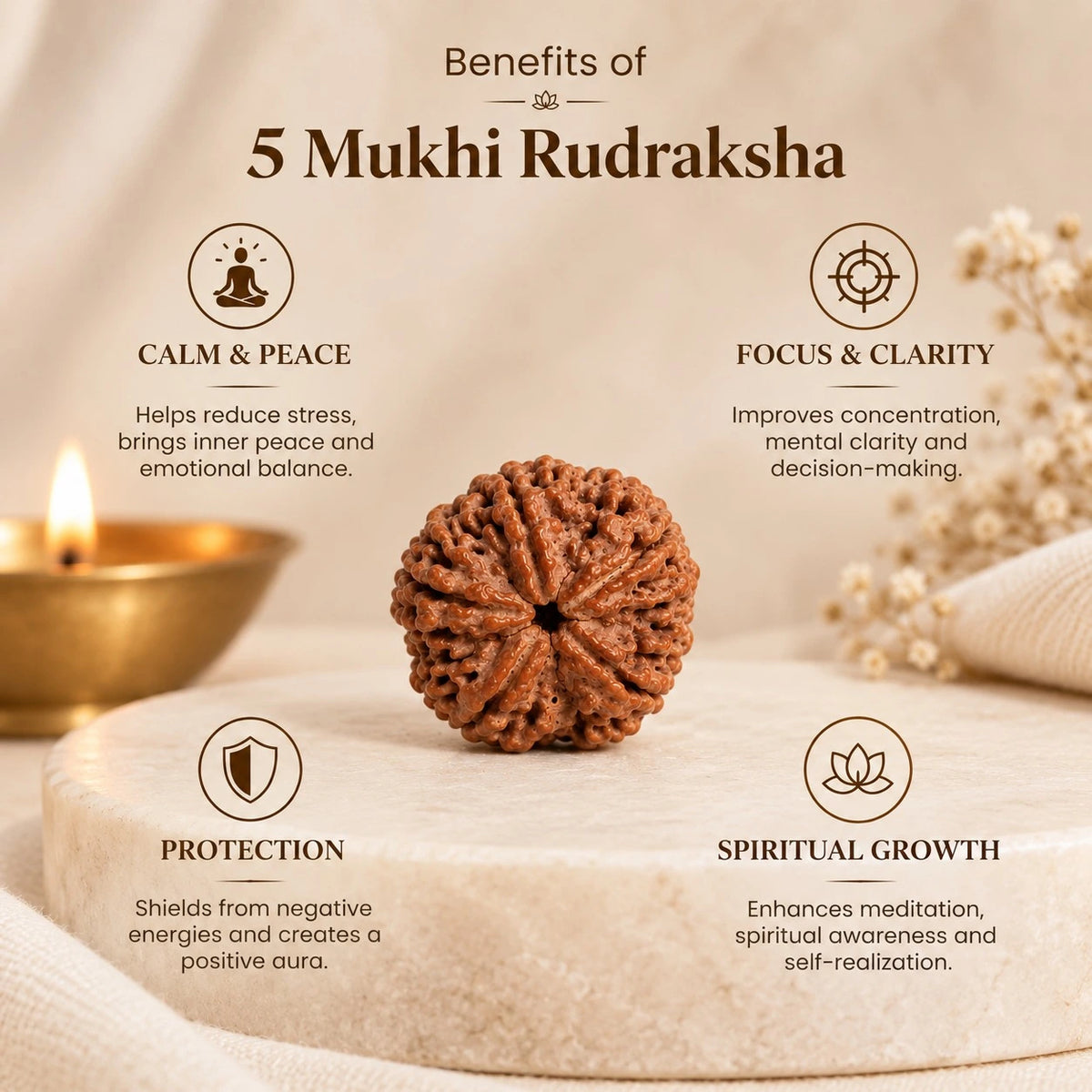 5 Mukhi Rudraksha (Panch Mukhi) - Nepal Origin, Lab Certified
